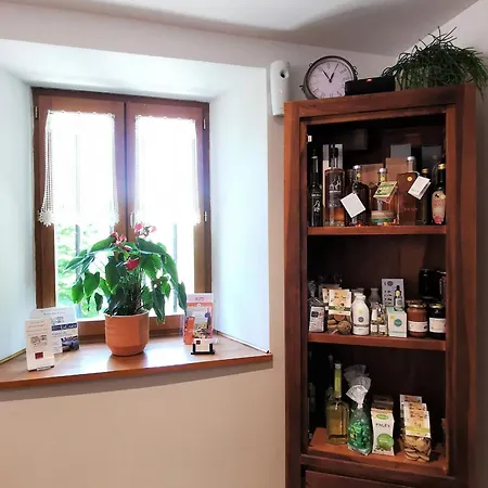 Confortable Avec Wi-fi, Parking Et Espace Bien-etre Inclus - Fr-1-582-485 Frühstückspension *