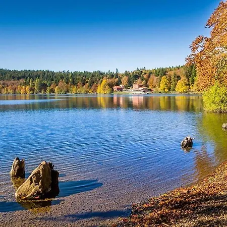 Confortable Avec Wi-fi, Parking Et Espace Bien-etre Inclus - Fr-1-582-485